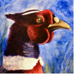 Pheasant Photo Sculpture photo sculptures