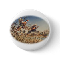 Pheasants Aloft - Great Hunting on the farm
