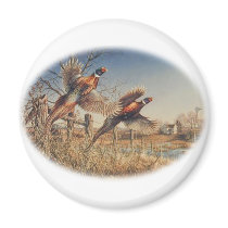 Pheasants Aloft - Great Hunting on the farm
