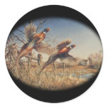 Pheasants Aloft - Great Hunting on the farm
