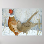 Pheasants in the snow print
