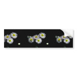 Philadelphia Fleabane bumper stickers