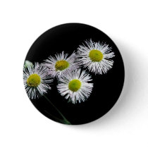 Philadelphia Fleabane Pin
