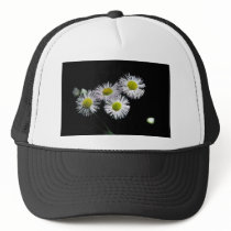 Philadelphia Fleabane Mesh Hat