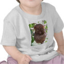 Philippine Tarsier t-shirts