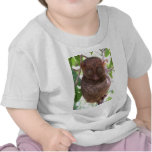 Philippine Tarsier t-shirts