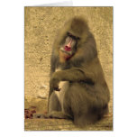 Philosopher Card