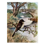 Phoebe and Stone Bridge Over Creek Post Card