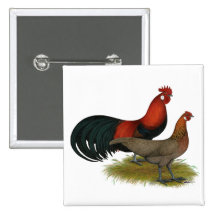Phoenix:  BB Red Pair Pin