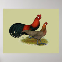 Phoenix:  BB Red Pair Print