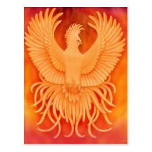 Phoenix Bird Postcard