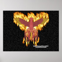 Phoenix Fire