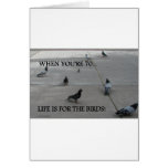 PHOENIX PIGEON PHRASES cards
