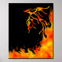 Phoenix Print