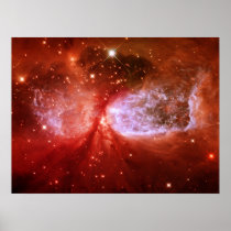 Phoenix Poster