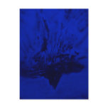 Phoenix Rising in Midnight Blue