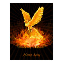 Phoenix Rising Postcards