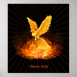 Phoenix Rising