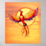 Phoenix Rising posters