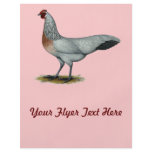 Phoenix:  Silver Duckwing Hen Custom Flyer