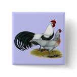 Phoenix:  Silver Duckwing Pair buttons