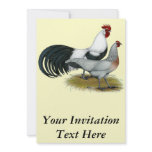 Phoenix:  Silver Duckwing Pair invitations