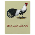 Phoenix:  Silver Duckwing Rooster Full Color Flyer