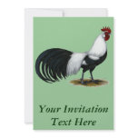 Phoenix:  Silver Duckwing Rooster Invitation