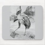 Phororhacos Terrorbird Mousemat mousepads