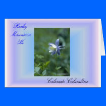 Photo Album rocky mtn hi, 1 Colorado Columbine... cards