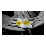 photo, bussiness card, fancy business cards