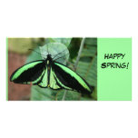 Photo Card: Green Butterfly photo cards