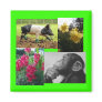 Photo collage magnets