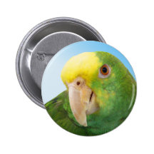 Photo Double Yellow Headed Amazon Parrot Buttons