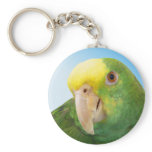 Photo Double Yellow Headed Amazon Parrot