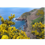 Photo Of The Coast In Jersey Photo Cut Outs