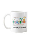 Photoautrophile (Photosynthesis) mugs