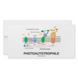 Photoautrophile (Photosynthesis) photo cards