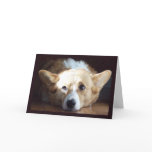Photographic Art Corgi Card