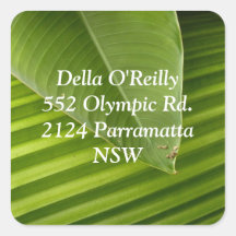 photography address labels square stickers