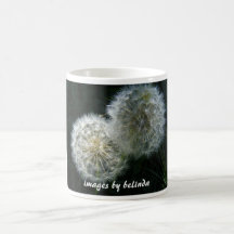 photography may 1 066, images by belinda coffee mug