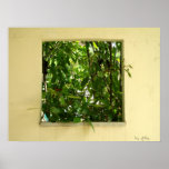 photography poster