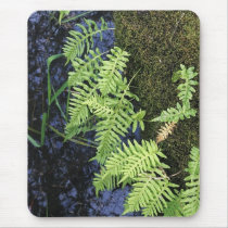 Photography Products Mousepad
