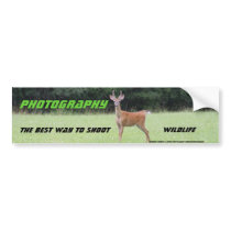 Photography: The best way to shoot Bumper Stickers
