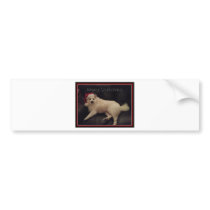 photoMA32177123-0001 Bumper Sticker