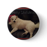 photoMA32177123-0001 Buttons