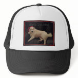 photoMA32177123-0001 Trucker Hats