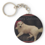 photoMA32177123-0001 Key Chains