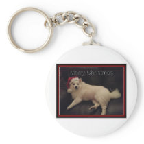 photoMA32177123-0001 Keychain