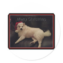 photoMA32177123-0001 Round Stickers